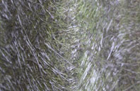 Little Wenham fibreglass roof work